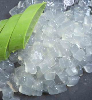 NHA ĐAM